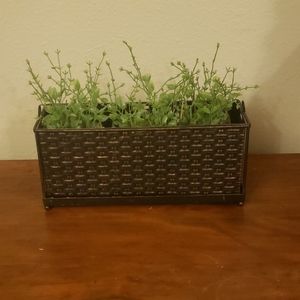 Bronze metal planter